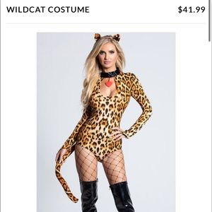 Cat/cheetah/leopard sexy costume